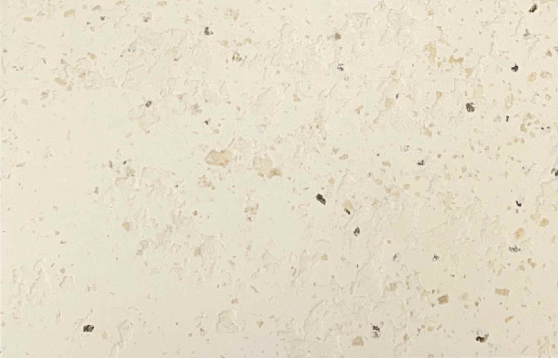 莱姆石艺术漆:天然质感与环保优势,打造独特家居空间(图4) 莱姆石艺术漆:天然质感与环保优势,打造独特家居空间(图4)