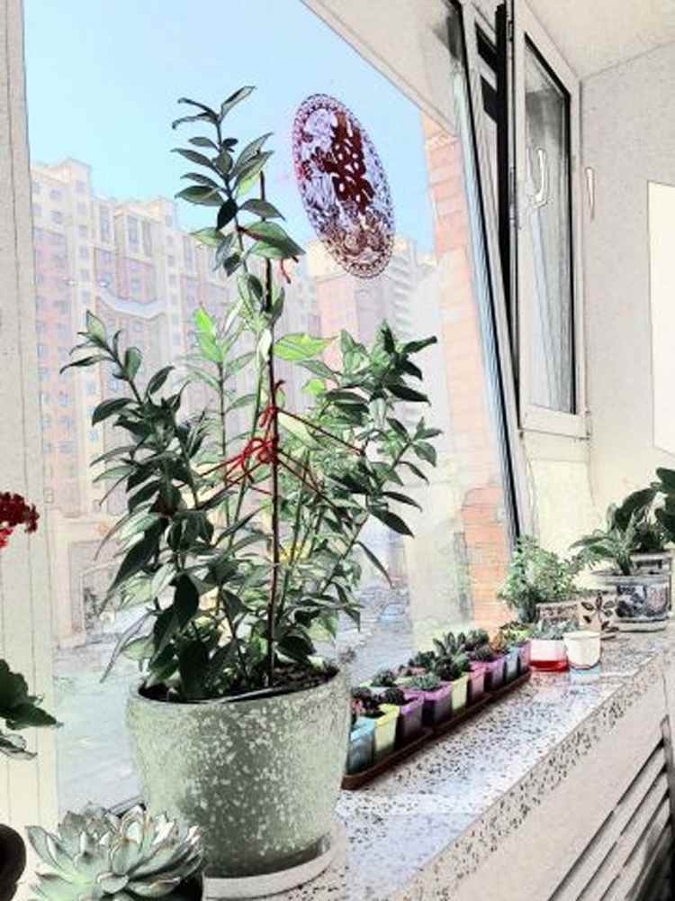 新手装修立省30%装修费用(图1) 新手装修立省30%装修费用