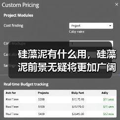 硅藻泥有什么用，硅藻泥前景无疑将更加广阔！