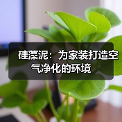 硅藻泥：为家装打造空气净化的环境