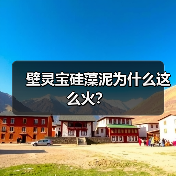 壁灵宝硅藻泥为什么这么火？