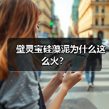 壁灵宝硅藻泥为什么这么火？