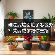 硅藻泥墙面脏了怎么办？艾丽威尔教你三招