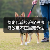 制定民营经济促进法、修改反不正当竞争法……即将召开的全国人大常委会会议有这些看点 制定民营经济促进法、修改反不正当竞争法……即将召开的全国人大常委会会议有这些看点