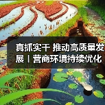 真抓实干 推动高质量发展丨营商环境持续优化 中小企业恢复发展进入快车道