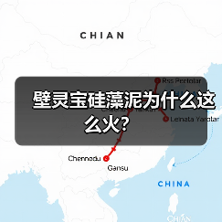 壁灵宝硅藻泥为什么这么火？（图2）