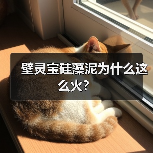 壁灵宝硅藻泥为什么这么火？（图1）