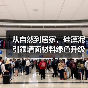 从自然到居家，硅藻泥引领墙面材料绿色升级（图4）