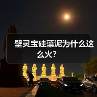 壁灵宝硅藻泥为什么这么火？（图3）