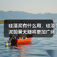 硅藻泥有什么用，硅藻泥前景无疑将更加广阔！（图3）