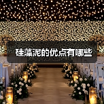 硅藻泥的优点有哪些（图1）