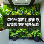 探秘硅藻泥性能优势，解锁健康家居新体验（图3）