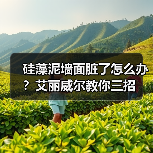 硅藻泥墙面脏了怎么办?艾丽威尔教你三招(图4) 硅藻泥墙面脏了怎么办?艾丽威尔教你三招(图4)