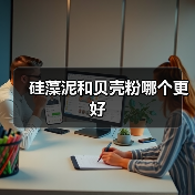 硅藻泥和贝壳粉哪个更好(图3) 硅藻泥和贝壳粉哪个更好(图3)