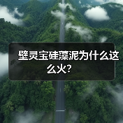壁灵宝硅藻泥为什么这么火?(图4) 壁灵宝硅藻泥为什么这么火?(图4)