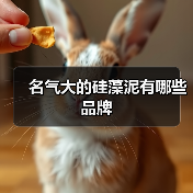 名气大的硅藻泥有哪些品牌(图4) 名气大的硅藻泥有哪些品牌(图4)