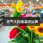 名气大的硅藻泥品牌(图4) 名气大的硅藻泥品牌(图4)