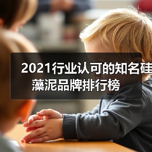 2021行业认可的知名硅藻泥品牌排行榜(图3) 2021行业认可的知名硅藻泥品牌排行榜(图3)
