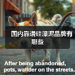 国内靠谱硅藻泥品牌有哪些(图2) 国内靠谱硅藻泥品牌有哪些(图2)