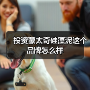 投资蒙太奇硅藻泥这个品牌怎么样(图4) 投资蒙太奇硅藻泥这个品牌怎么样(图4)