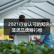 2021行业认可的知名硅藻泥品牌排行榜(图2) 2021行业认可的知名硅藻泥品牌排行榜(图2)
