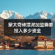 蒙太奇硅藻泥加盟需要投入多少资金(图3) 蒙太奇硅藻泥加盟需要投入多少资金(图3)