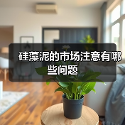硅藻泥的市场注意有哪些问题（图2）