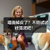 墙面掉皮了?不妨试试硅藻泥吧!(图1) 墙面掉皮了?不妨试试硅藻泥吧!(图1)