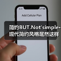 简约BUT.Not'simple·现代简约风格居然这样美！（图4）