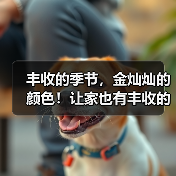 丰收的季节,金灿灿的颜色!让家也有丰收的感觉(图2) 丰收的季节,金灿灿的颜色!让家也有丰收的感觉(图2)