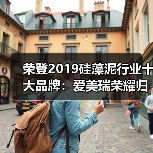 荣登2019硅藻泥行业十大品牌:爱美瑞荣耀归来(图4) 荣登2019硅藻泥行业十大品牌:爱美瑞荣耀归来(图4)
