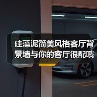 硅藻泥简美风格客厅背景墙与你的客厅很配哦!(图1) 硅藻泥简美风格客厅背景墙与你的客厅很配哦!(图1)