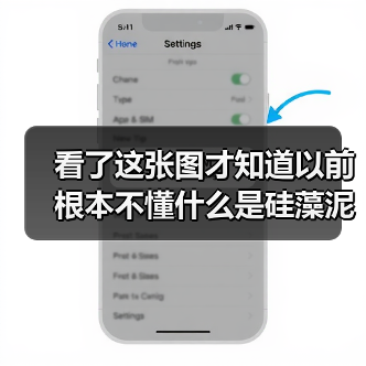 看了这张图才知道以前根本不懂什么是硅藻泥(图2) 看了这张图才知道以前根本不懂什么是硅藻泥(图2)