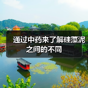 通过中药来了解硅藻泥之间的不同(图1) 通过中药来了解硅藻泥之间的不同(图1)
