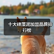 十大硅藻泥加盟品牌排行榜(图3) 十大硅藻泥加盟品牌排行榜(图3)