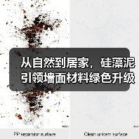 从自然到居家，硅藻泥引领墙面材料绿色升级（图3）