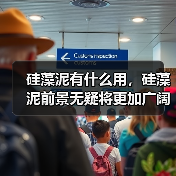 硅藻泥有什么用，硅藻泥前景无疑将更加广阔！（图2）