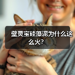 壁灵宝硅藻泥为什么这么火？（图4）