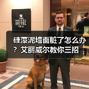 硅藻泥墙面脏了怎么办？艾丽威尔教你三招（图1）