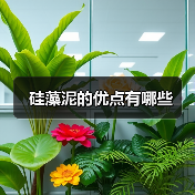 硅藻泥的优点有哪些（图3）