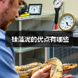 硅藻泥的优点有哪些（图4）