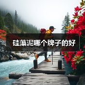 硅藻泥哪个牌子的好（图3）