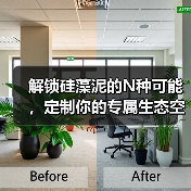 解锁硅藻泥的N种可能，定制你的专属生态空间（图3）