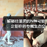 解锁硅藻泥的N种可能，定制你的专属生态空间（图1）