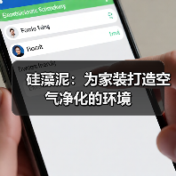 硅藻泥：为家装打造空气净化的环境（图2）