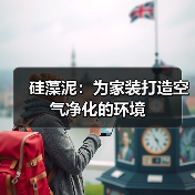 硅藻泥：为家装打造空气净化的环境（图4）