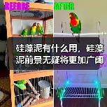 硅藻泥有什么用，硅藻泥前景无疑将更加广阔！（图2）