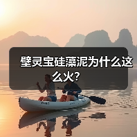 壁灵宝硅藻泥为什么这么火？（图4）