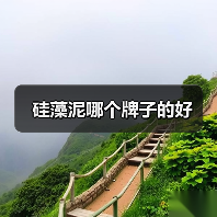 硅藻泥哪个牌子的好（图3）