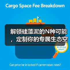 解锁硅藻泥的N种可能，定制你的专属生态空间（图3）